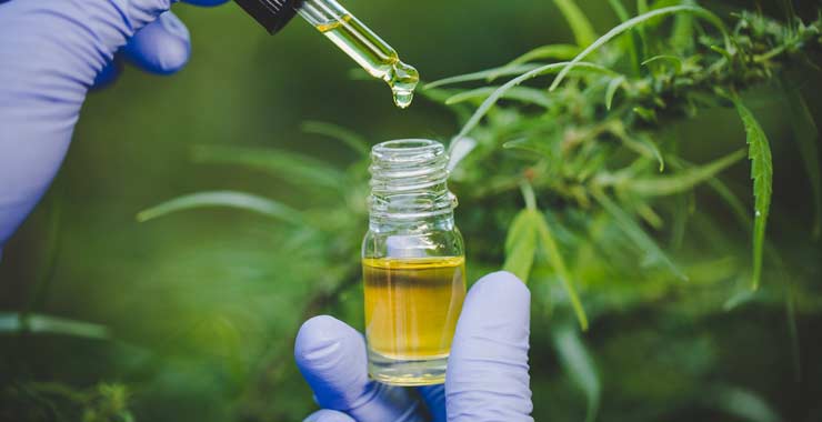 Advancing research on cannabis: Dose response and growing concerns