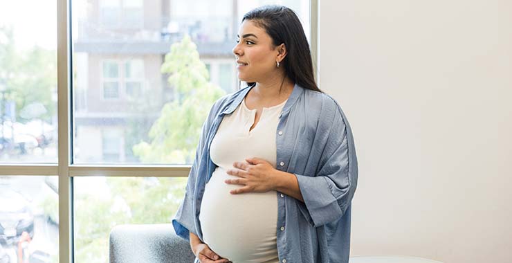 A pregnant woman holds her stomach and gazes out of a window