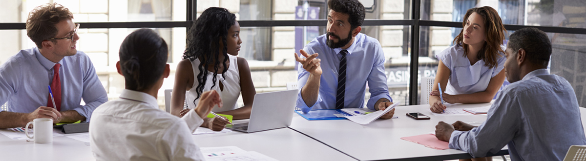 Business professionals at a conference table