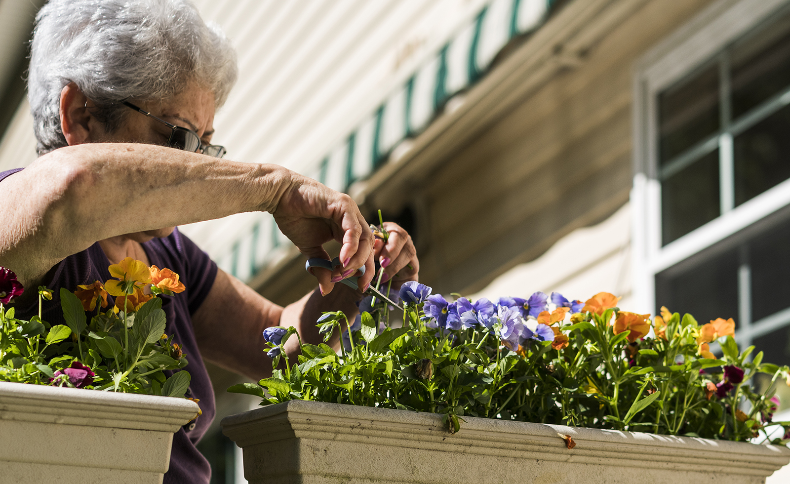 An older woman outside gardening