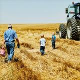 farm field