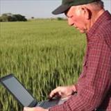 A man sitting on the bed of a truck in a farm field, using a laptop.