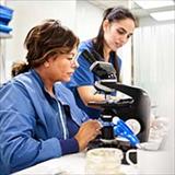 Two female researchers examining a microscope in a lab
