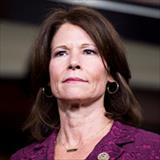 Cheri Bustos, U.S. Representative for Illinois's 17th congressional district