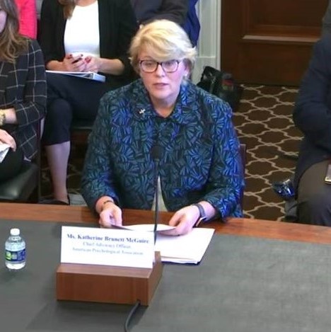 APA Chief Advocacy Officer Katherine B. McGuire, MSc, appearing before the House Appropriations Labor, Health and Human Services, and Education Subcommittee