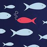 illustration of red fish swimming toward blue fish