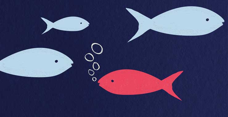 illustration of red fish swimming toward blue fish