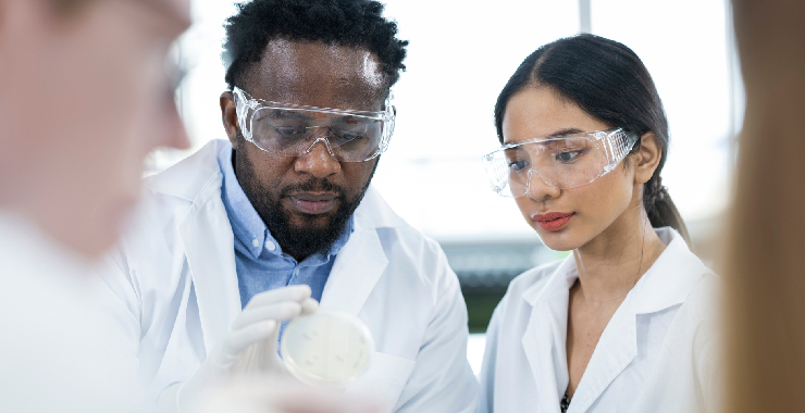 two biomedical researchers examining a petri dish