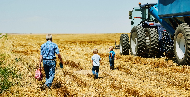 farm field