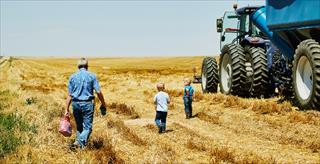 farm field