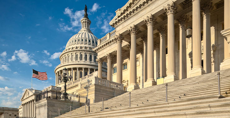U.S. Capitol Building