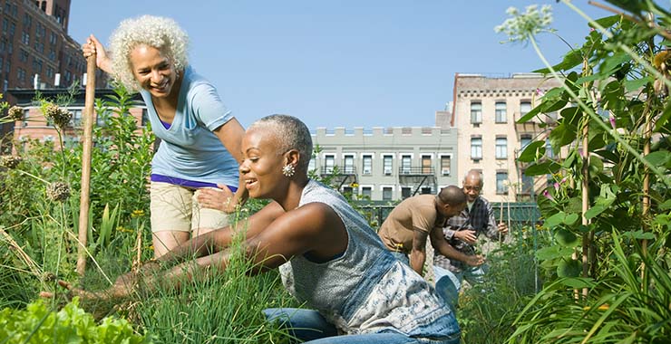A group of African American’s gardening