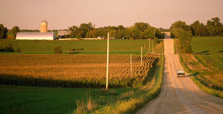 Pickup truck driving on a rural farmland road
