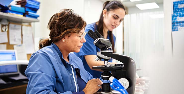 Two female researchers examining a microscope in a lab