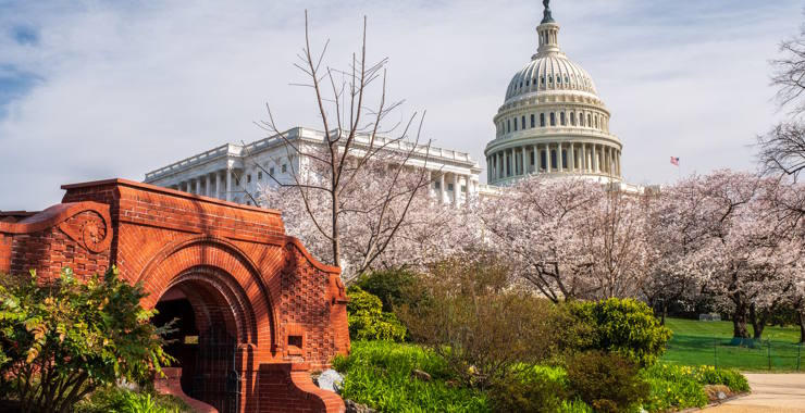 The U.S. Capitol dome rises behind blooming cherry trees, with a red brick archway and landscaped garden in the foreground.