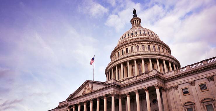 The U.S. Capitol Building