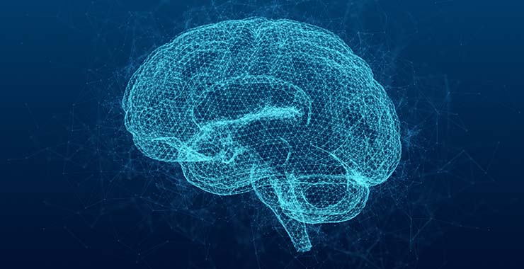 A graphic of a human brain displayed on a blue background