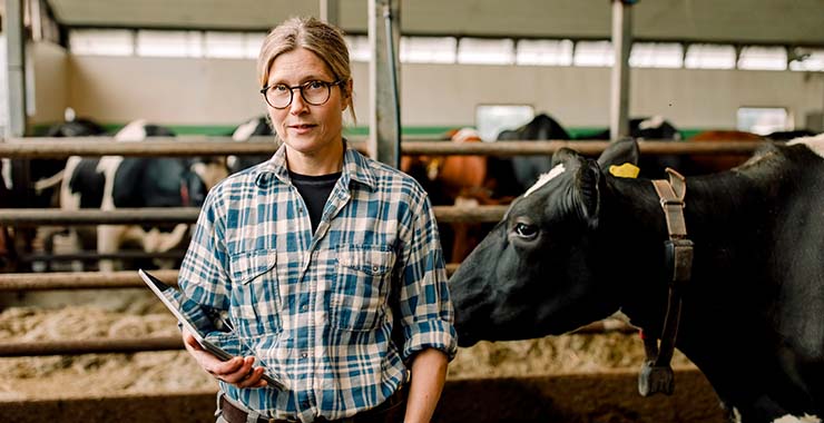 Woman standing in a barn with cows