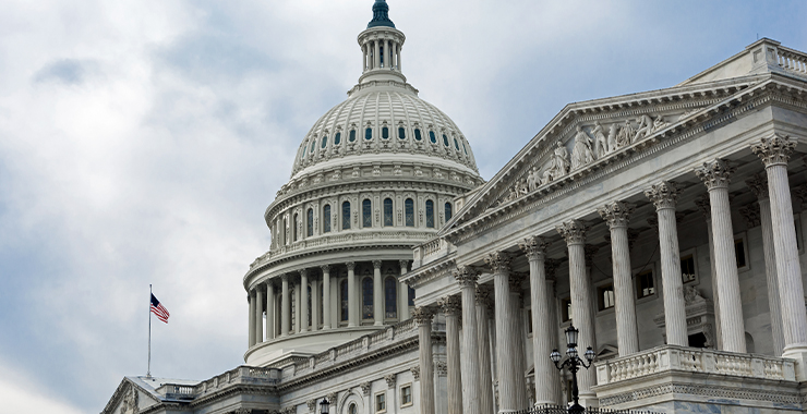 The U.S. Capitol Building