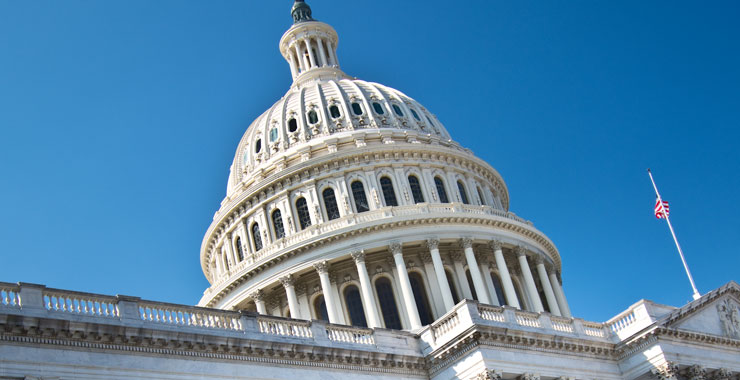 U.S. Capital dome