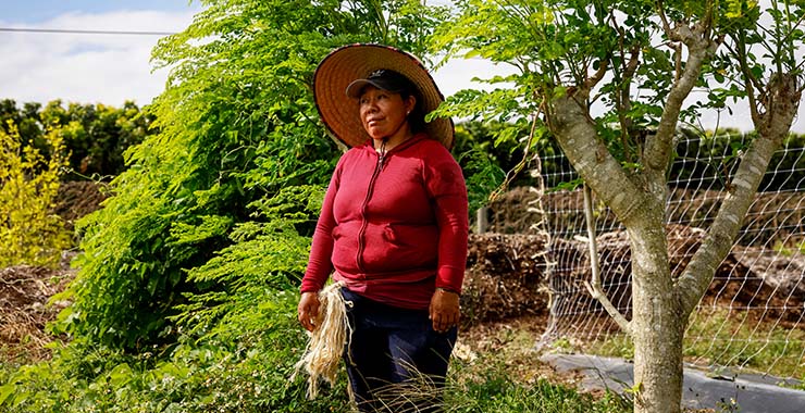 Image of a female migrant 