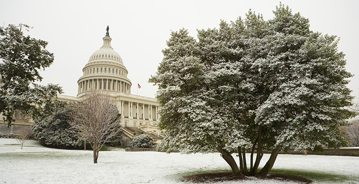 Snow covered Capitol lawn