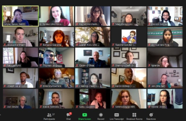 screen shot of online Advocacy summit meeting